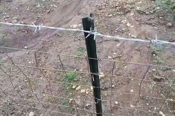 �Ͼ�����